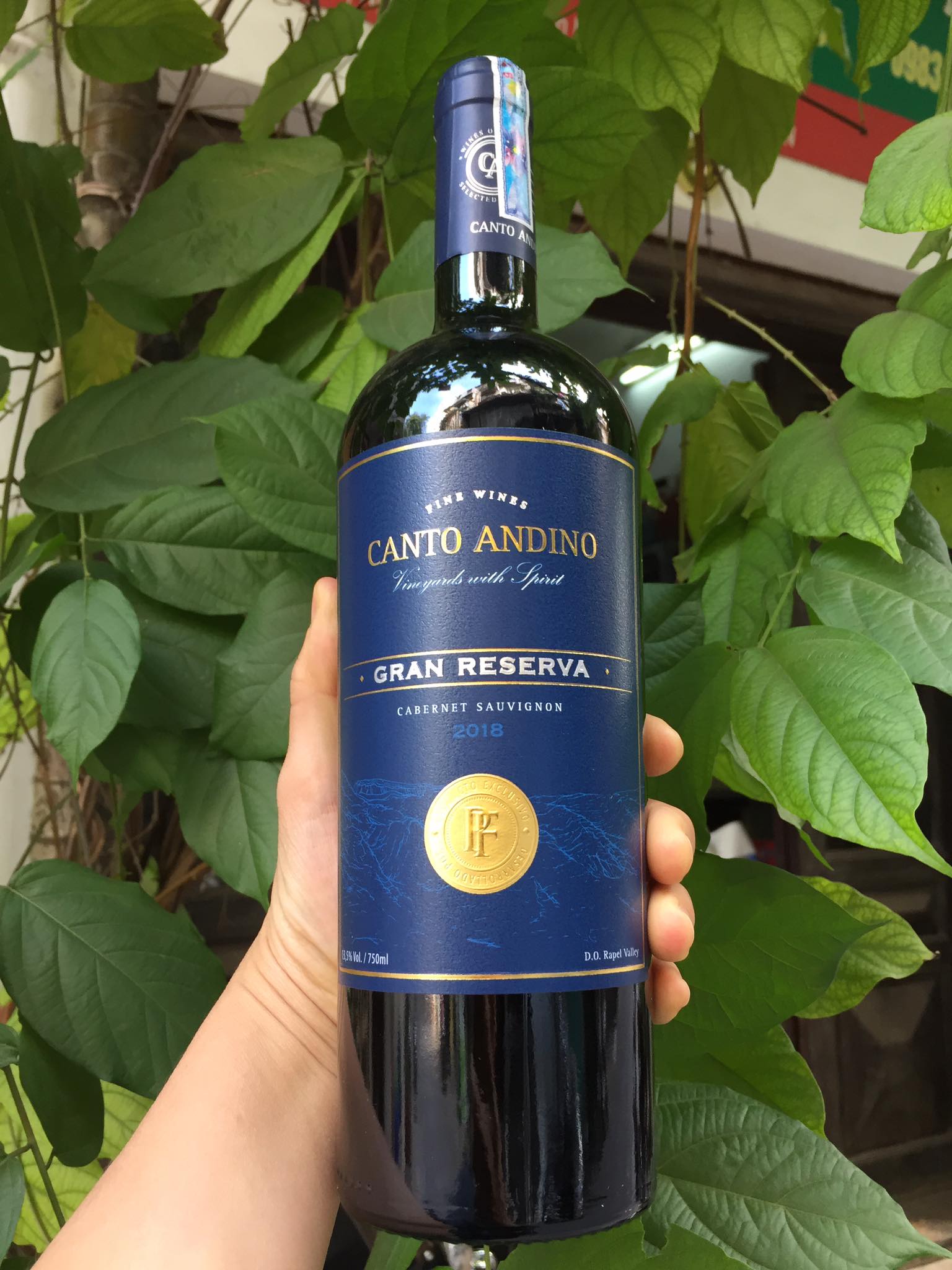 RƯỢU VANG CANTO ANDINO GRAND RESERVE