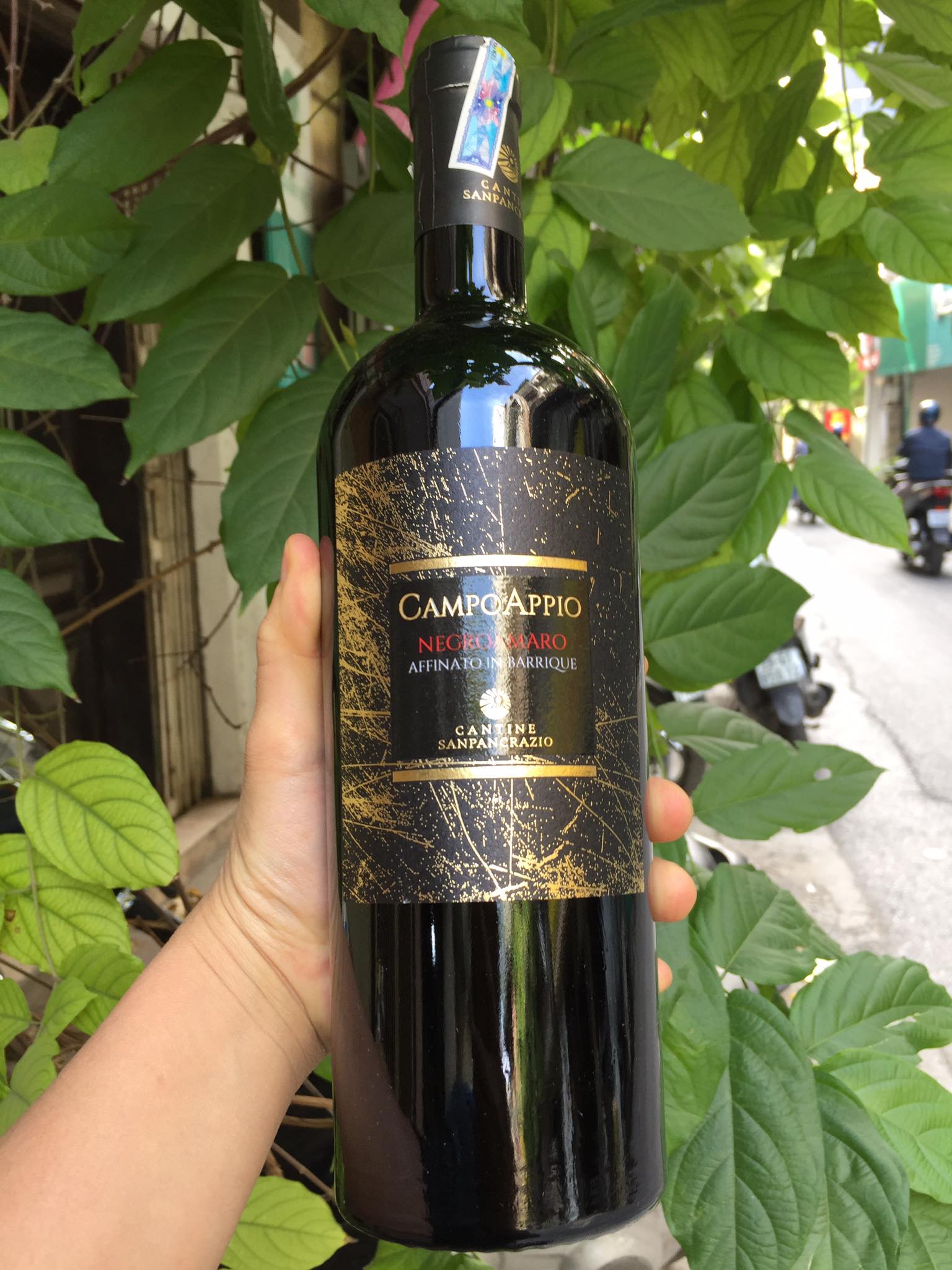 RƯỢU VANG CAMPO APPIO