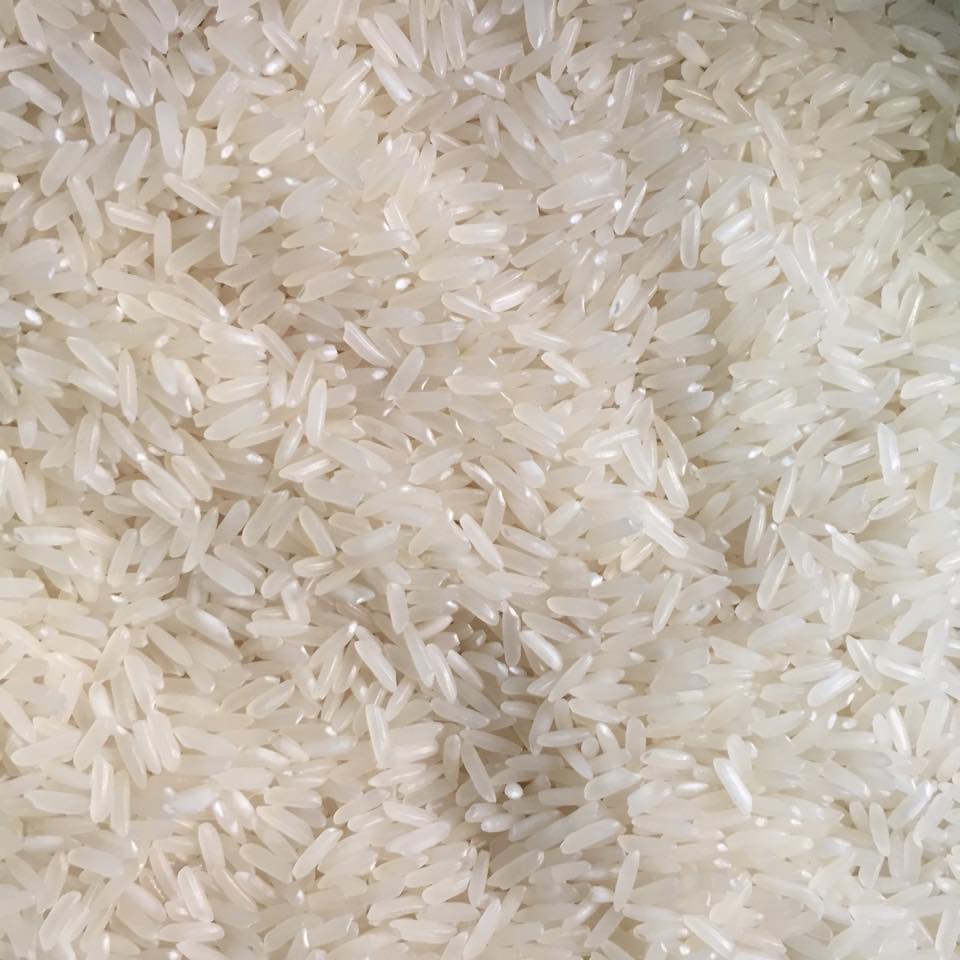 GẠO DẺO 64