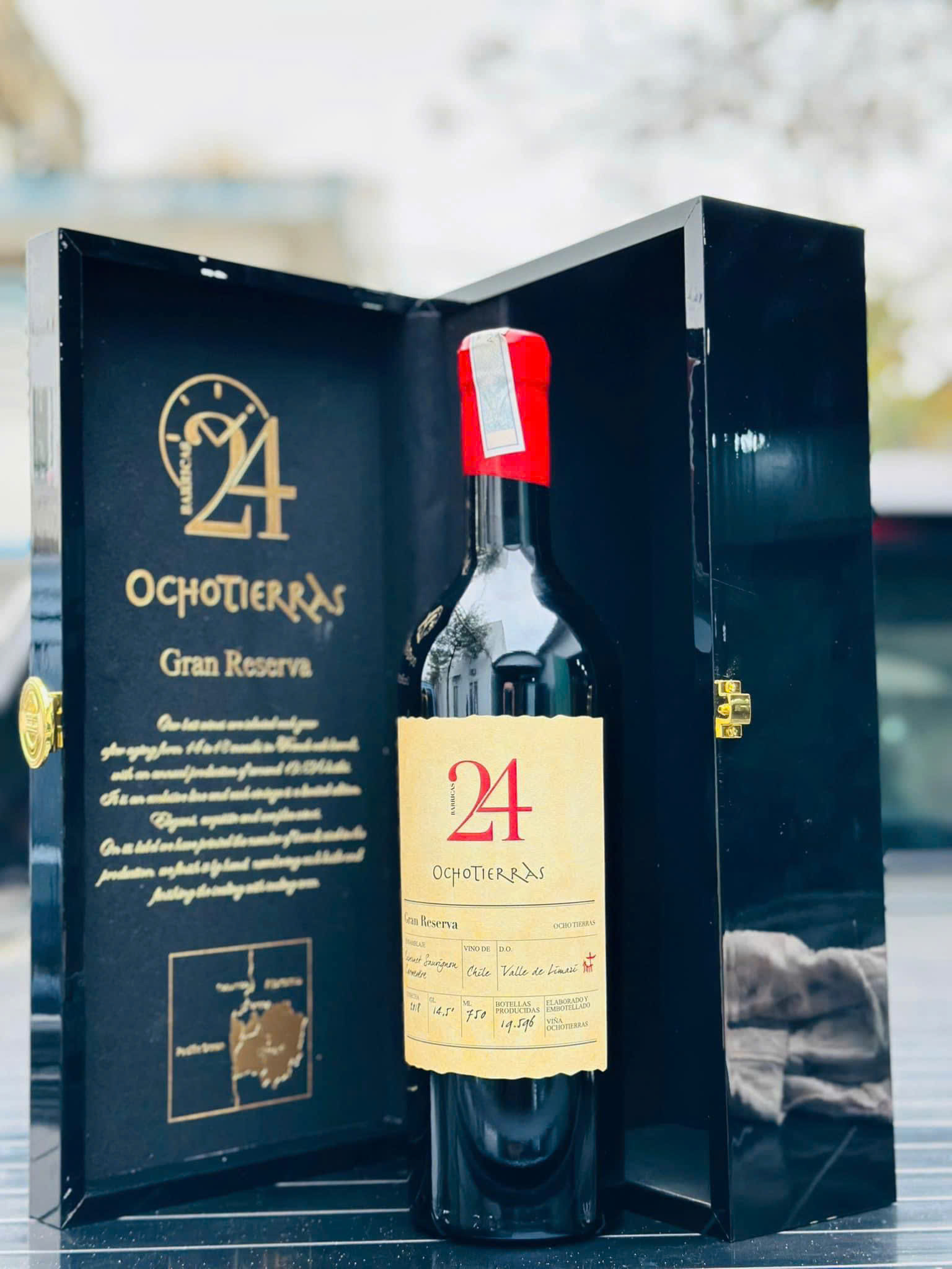 Rượu vang chile OCHOTIERRAS