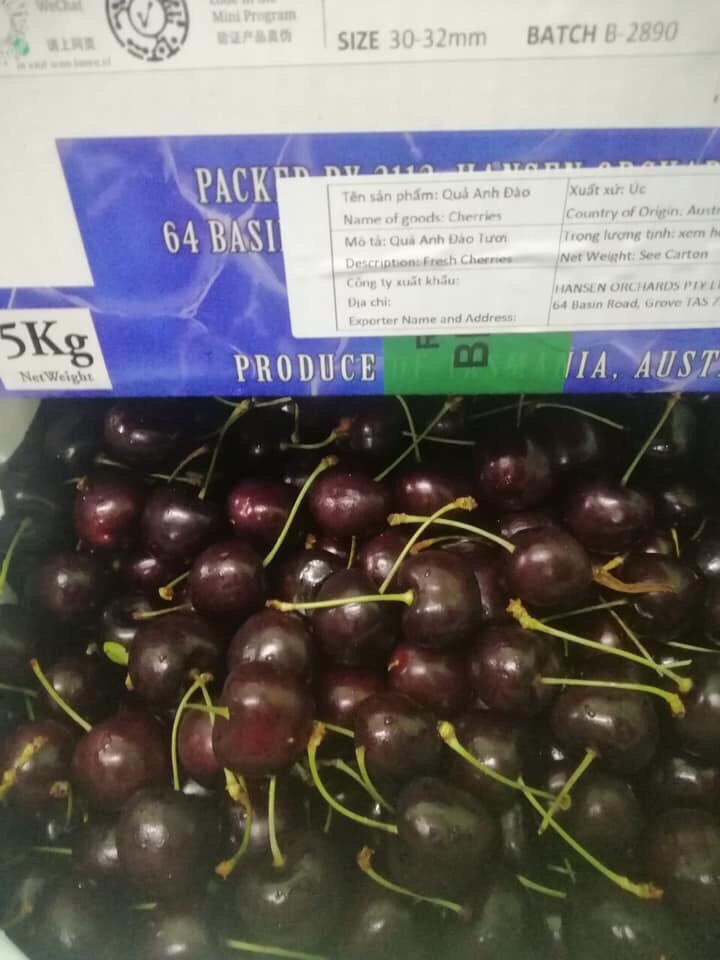 CHERRY ÚC