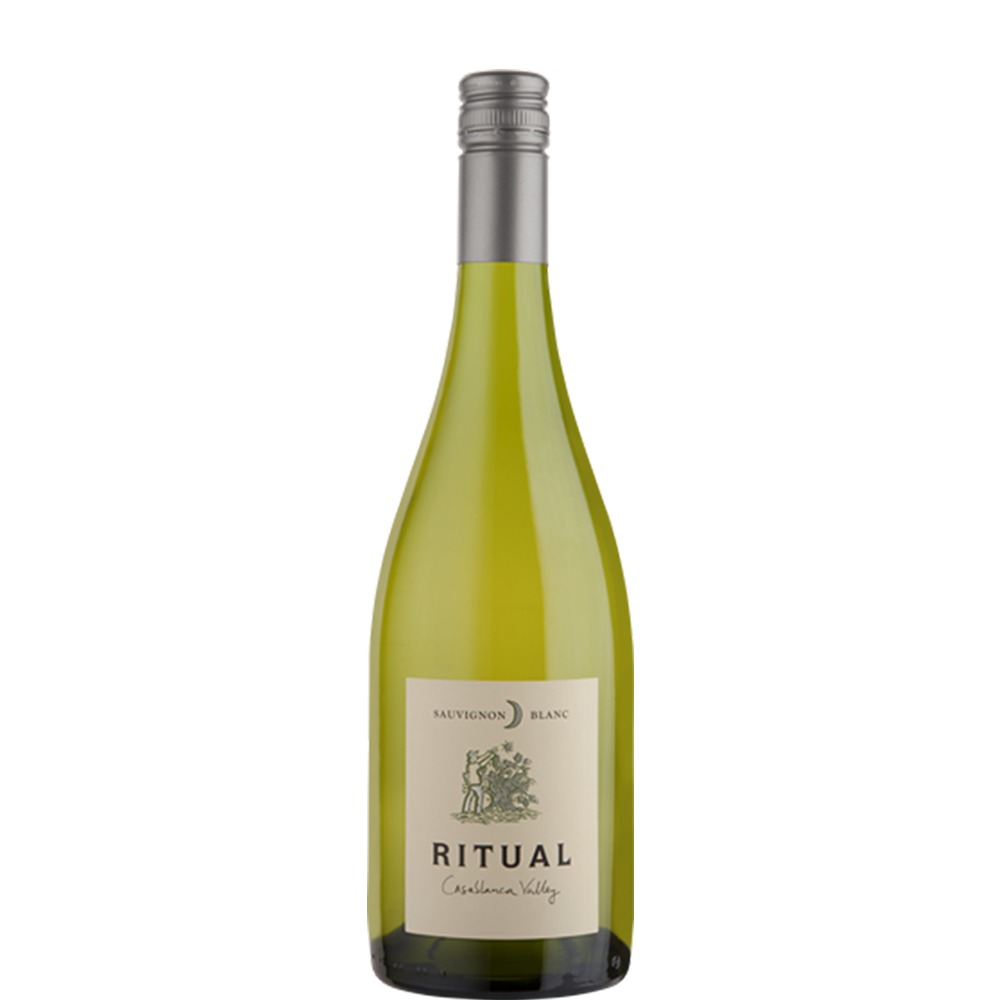 RƯỢU VANG Ritual Sauvignon Blanc