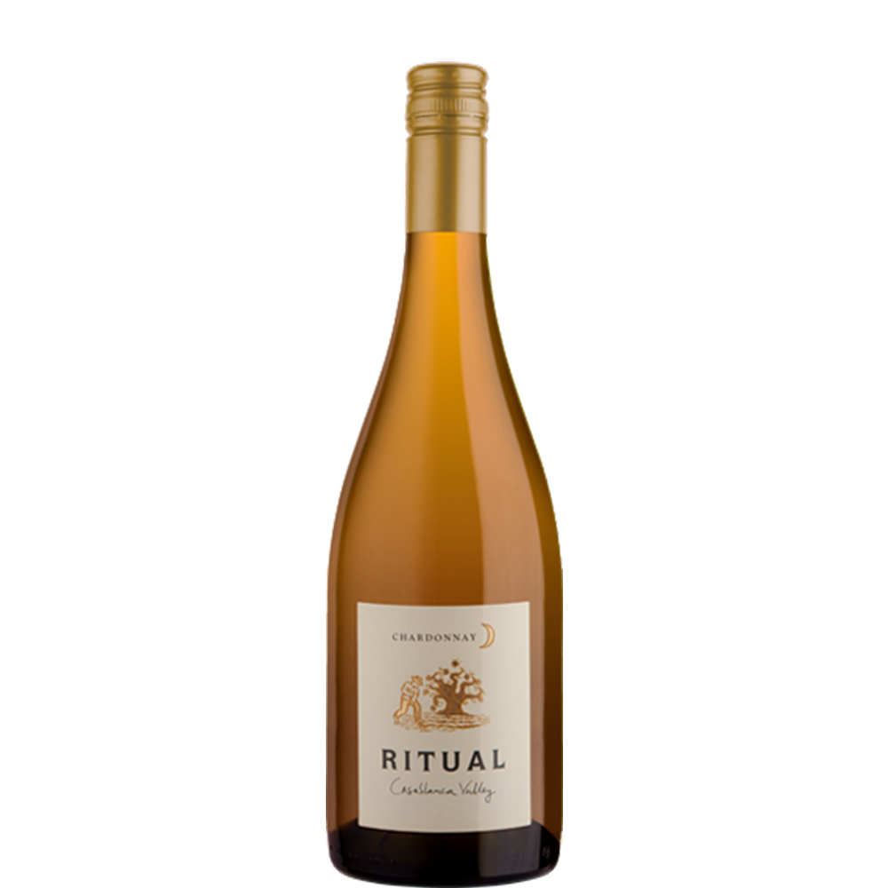 RƯỢU VANG Ritual Chardonnay