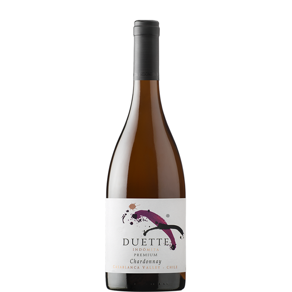 RƯỢU VANG Duette Premium Chardonnay
